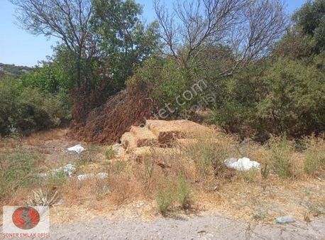 Milas Hasan'lar Köyünde. Köy İmarlı Arsa