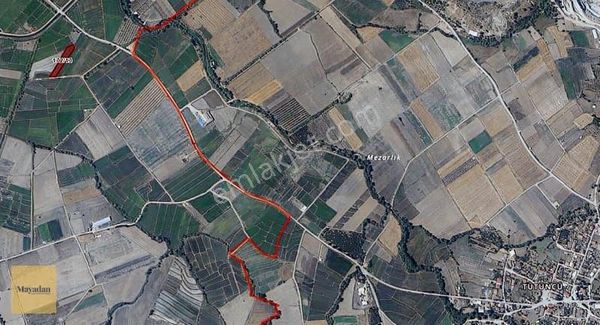 Maya Gyo'dan Satılık Çeltik Veya Ceviz Tarlası