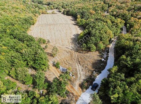 Ballı'dan Maksempınar'da Orman Cepheli Tek Tapu Fırsat Tarla