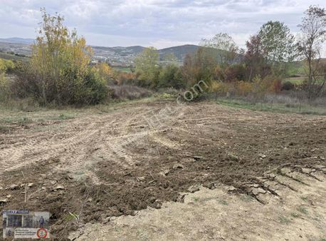 Arac Takaslı 350 Mt