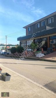 Kiralık Dükkan, Ofis