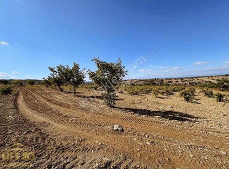 Denizli Çal Develiler 7000 Metre Kadastro Yolu Var Bakımlı