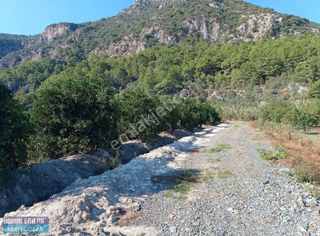 Ortaca Mergenli Mah. Satılık 10.300 M2 Naranciye Bahçesi