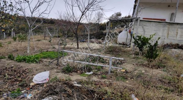 Arnavotköy Boyalık Ta Dosthane Emlaktan Satılık Arsa