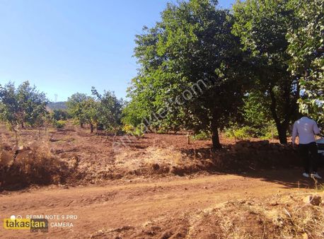 Bilek Tek Tapu Resmi Yola Cepheli Ful Meyve Bahçesi