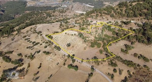 22 Dönüm Arazi İçinde Ev + Depo + Hayvan Damı + Zeytinlik