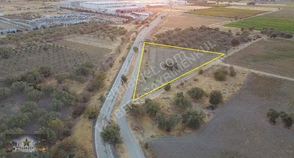 Organize Sanayi Ye Yakın Satılık Zeytinli Tarla