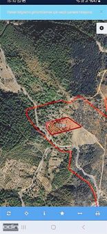 Ayvalık Hacıveliler'de Doğayla İç İçe Satılık Arsa