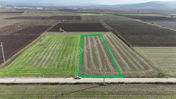 İzmir Menderes Tekelide 1/2 Yarısı 4.644 M2 Hisse Tapulu Asvalt Yol Cepheli Tarla