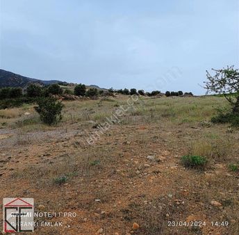 Garanti Emlaktan Killik Mahallesinde Tarla