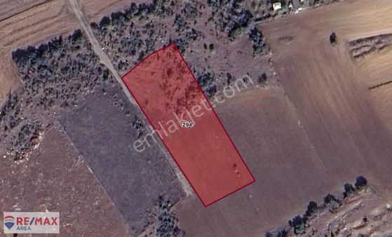 Remax Area Dan Canbaz Da Satılık Yola Yakın 3000 M2 Tarla