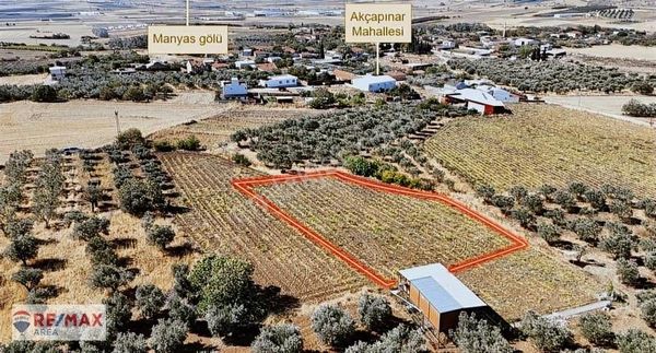 Remax Area'dan Manyas Gölü Manzaralı 1667 M² Satılık Bağ