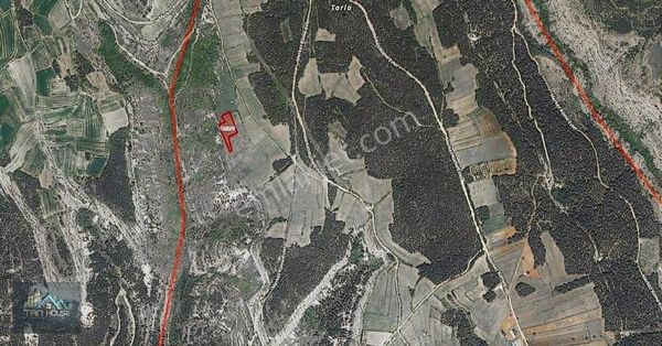 Tan Emlaktan Aşağıçiflik Köyünde Uygun Fiyata Satılık Bahçeler