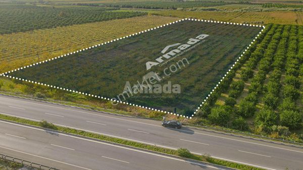 İzmir Selçuk'ta Otoyola Sıfır Satılık Meyve Bahçesi