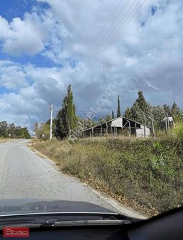 Şok Fiyat Kocaeli Karamürsel Avcıköy'de Satılık Müstakil Arsası