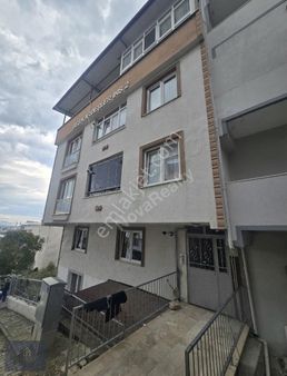 Nova Realty Den 2+1 Daire