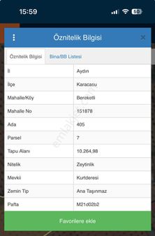 Karacasu’ Da Satılık 10.264 M2 Zeytinlik