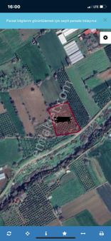 Olcaysu'dan Yola Cepheli,su Sorunu Olmayan 6462m2 Verimli Tarla!