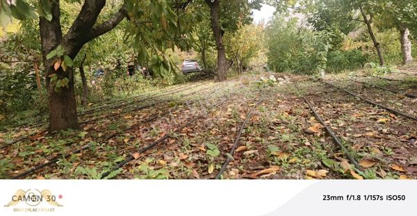 Onur Emlak İnşaat 'tan Amasya Ziyaret ' Te E Satılık Bahçe