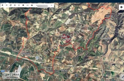 Fırsat Salihli Mevlütlü' De Verimli Zeytinlik