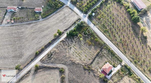 Vadi Emlak'tan Çamağzı'nda Yola Cephe Satılık 915m² Tarla