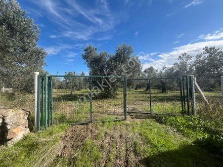 Havran Tekke'de Yatırım'ın Ve Ticaret'in Gözdesi