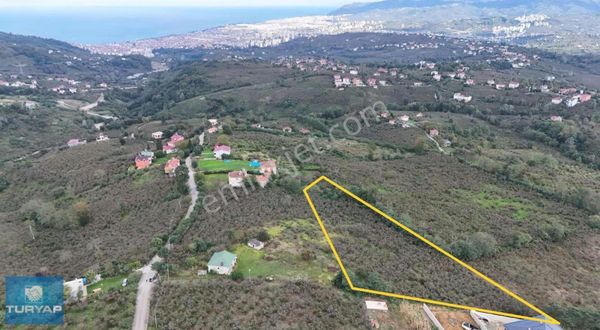 Ordu Burhanettin Mahallesi 5400m2 Satılık Bağ&bahçe
