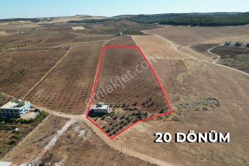 World İlkevim'den Haliliye'de 20 Dönüm Tarla