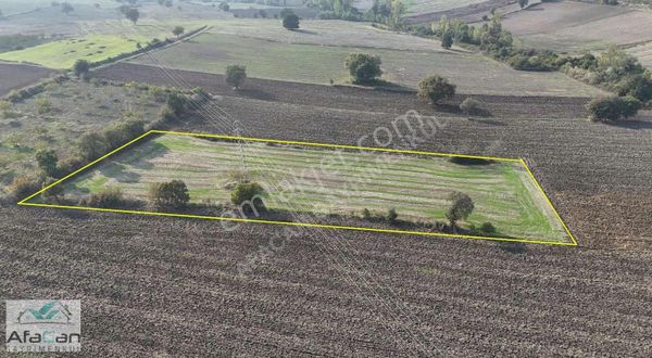 Susurluk Göbel Mahallesinde 6000m2 Mükemmel Konumda Tarla!!!