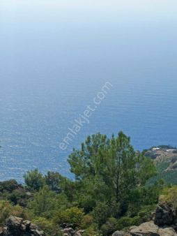 Gazipaşa Satılık 2 Parsel 2 Tapu Satılık 900 M2 Tarla