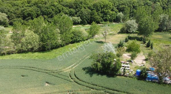 **pınarhisar Poyralı Köyü Tek Tapu Tarla**
