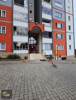 Kamalı Toki 3+1 Full Yapılı Daire