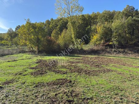 Gemlik Haydariye Mahallesinde İmar Dibinde - Yatırımlık Tarla