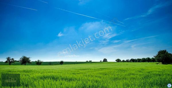 Tekirdağ Saray Mahallesinde 28 Dönümlük Kelepir Arazi-yola Cephe