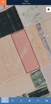 Oflazlar'dan Zencirlide Satılık 125.000m2 (50 Dönüm) Tarla