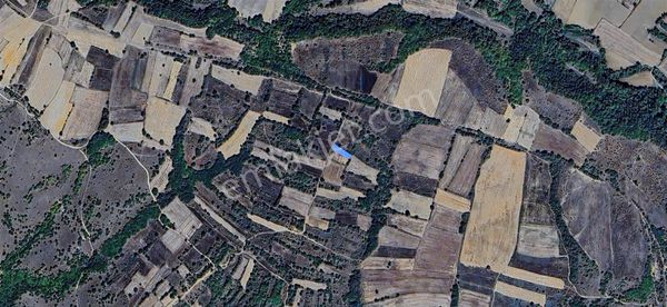 Kırkkavakta Müstakil Tapulu Satılık Tarla