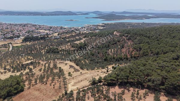 Era Angel'dan Cunda'da 2,603 M2 Satılık Çok Amaçlı İmarlı Arsa
