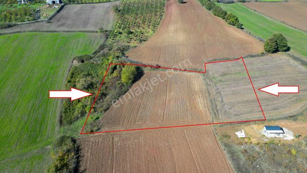 Kocaeli Karamürsel Avckıöy 9687 M2 Satılık Tarla