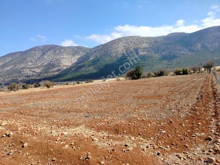 Döşemealtı Akkoçta 2.445.65 M2 Satılık Tarla.yatırımlık Fırsat.