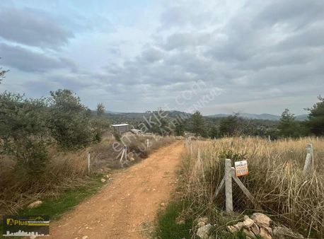 A Plus Gayrimenkulden Helvacı Köyü Koop. Hisseli Satılık Arazi