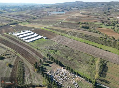 Satılık Tarla Sakarya Söğütlü Fındıklı Köyü Yatırımlık