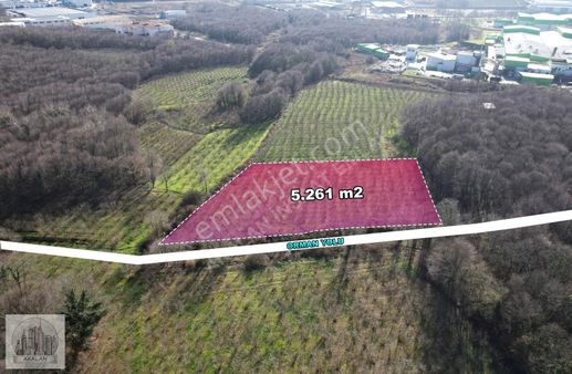 Söğütlü 3. Organize Sanayi Bölgesinin Dibinde 5.261 M2 Fındıklık