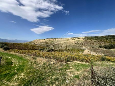 🌿 Rota Gayrimenkul’den Çavuşlar Mahallesi’nde Kaçırılmayacak Fırsat! 🌿