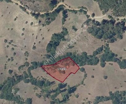 Kaynak Sulu,taş Evli 3.488 M² Tarla- Bigadiç Aşağıgöcek