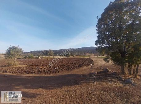 Akören Kayasu Mah.satılık 2273m2 Tarla Yola Cephe Müstakil Tarla