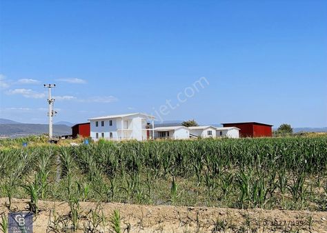 Milas Koru'da 7.5 Dönüm Yola Sıfır Tarla