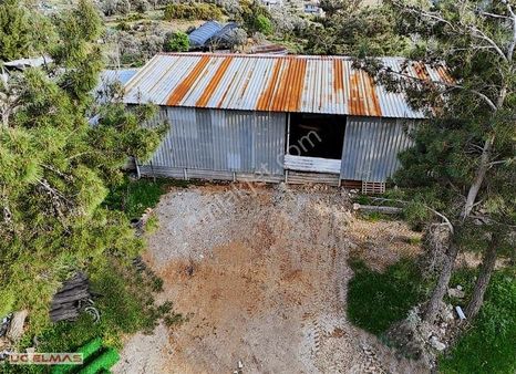 Üç Elmastan Köpek Bakımı Ve Hayvan Çiftliğine Uygun 4.000m²arazi