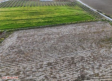 Üç Elmastan Harika Bir Köy Yaşamı 5.000 M² Suyu Hazır Arazi