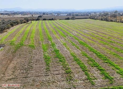 Üç Elmastan Menderes Merkeze Havalimanına Yakın 5.000 M² Arazi
