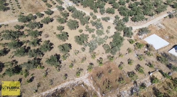 Torbalı Çapak Mah. Satılık Uygun Fiyat Bahçe